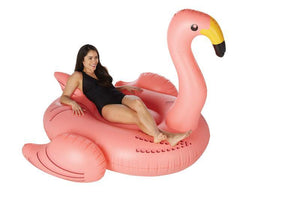 Swimline Pink Inflatable Pool Flamingo Float Promo Picture